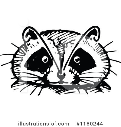 Royalty-Free (RF) Raccoon Clipart Illustration by Prawny Vintage - Stock Sample #1180244