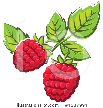 Berry Clipart #1337991 by Vector Tradition SM