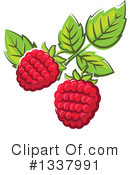 Raspberry Clipart #1337991 by Vector Tradition SM