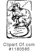 Rat Clipart #1180585 by Prawny Vintage