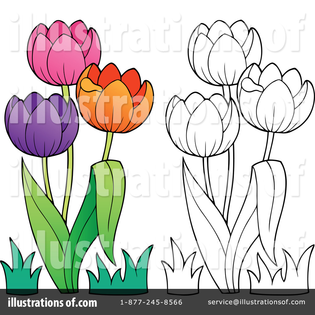 Tulip Clipart #1197002 - Illustration by visekart