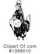 Rooster Clipart #1388010 by dero