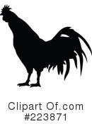 Rooster Clipart #223871 by dero