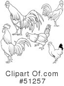 Rooster Clipart #51257 by dero