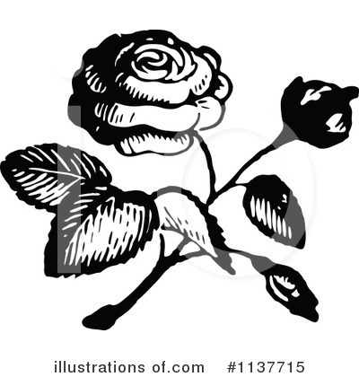 Royalty-Free (RF) Rose Clipart Illustration by Prawny Vintage - Stock Sample #1137715