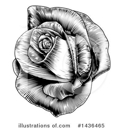 Royalty-Free (RF) Rose Clipart Illustration by AtStockIllustration - Stock Sample #1436465