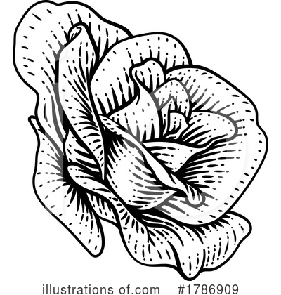 Royalty-Free (RF) Rose Clipart Illustration by AtStockIllustration - Stock Sample #1786909