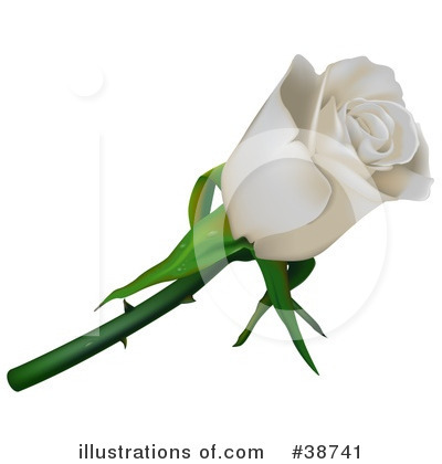 Royalty-Free (RF) Rose Clipart Illustration by dero - Stock Sample #38741