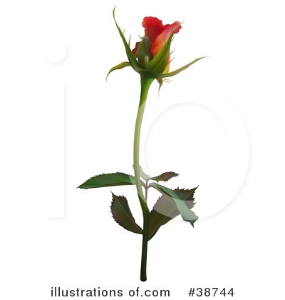 Royalty-Free (RF) Rose Clipart Illustration by dero - Stock Sample #38744