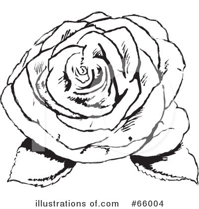 Royalty-Free (RF) Rose Clipart Illustration by Prawny - Stock Sample #66004