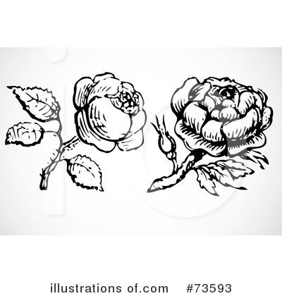 Royalty-Free (RF) Rose Clipart Illustration by BestVector - Stock Sample #73593