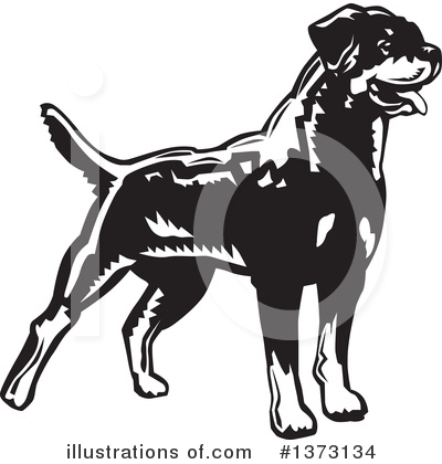 Royalty-Free (RF) Rottweiler Clipart Illustration by David Rey - Stock Sample #1373134