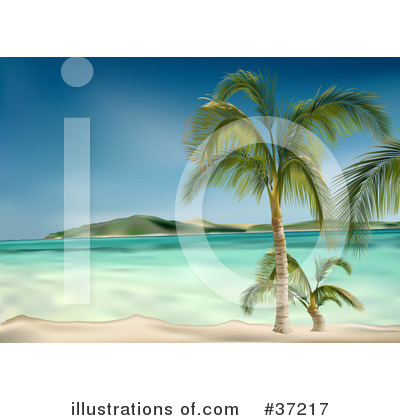 Palm Tree Clipart #37217 by dero
