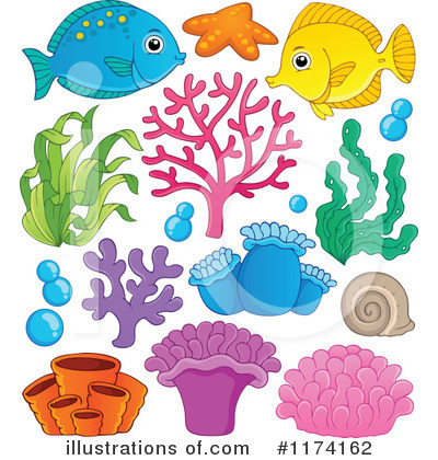Anemone Clipart #1174162 by visekart