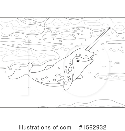 Narwhal Clipart #1562932 by Alex Bannykh