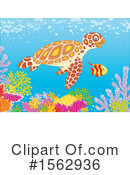 Sea Life Clipart #1562936 by Alex Bannykh