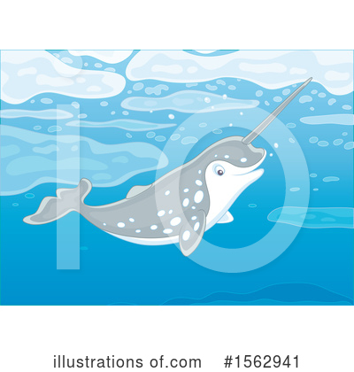 Narwhal Clipart #1562941 by Alex Bannykh
