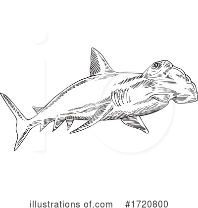Shark Clipart #1720800 by patrimonio
