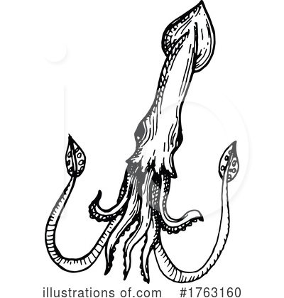 Squid Clipart #1763160 by Vector Tradition SM