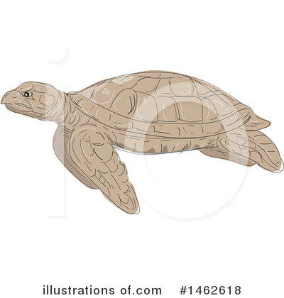 Royalty-Free (RF) Sea Turtle Clipart Illustration by patrimonio - Stock Sample #1462618