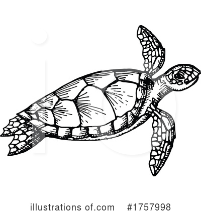 Royalty-Free (RF) Sea Turtle Clipart Illustration by Vector Tradition SM - Stock Sample #1757998