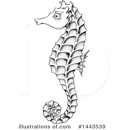 Royalty-Free (RF) Seahorse Clipart Illustration by cidepix - Stock Sample #1443539