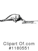 Seal Clipart #1180551 by Prawny Vintage