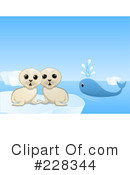 Seal Pup Clipart #228344 by elaineitalia