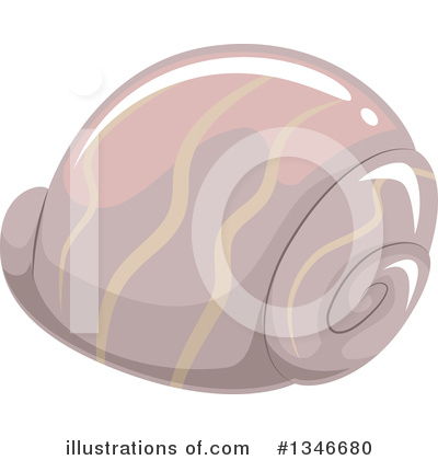 Seashell Clipart #1346680 by BNP Design Studio