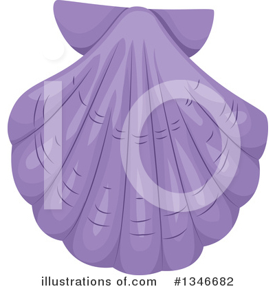 Sea Shells Clipart #1346682 by BNP Design Studio