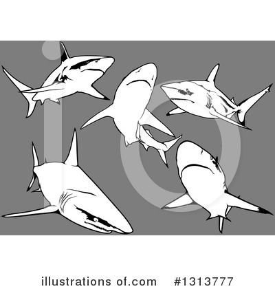 Royalty-Free (RF) Shark Clipart Illustration by dero - Stock Sample #1313777
