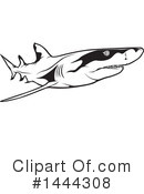 Shark Clipart #1444308 by dero