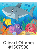Shark Clipart #1567508 by visekart