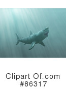 Shark Clipart #86317 by Mopic