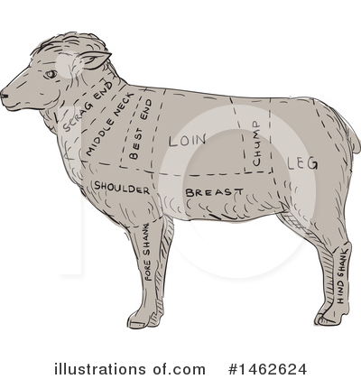 Royalty-Free (RF) Sheep Clipart Illustration by patrimonio - Stock Sample #1462624