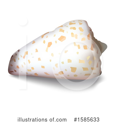 Shells Clipart #1585633 by dero