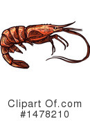 Shrimp Clipart #1478210 by Vector Tradition SM