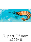Shrimp Clipart #20948 by Paulo Resende