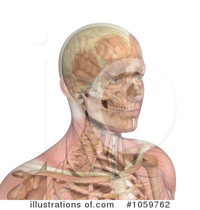 Royalty-Free (RF) Skeleton Clipart Illustration by Michael Schmeling - Stock Sample #1059762