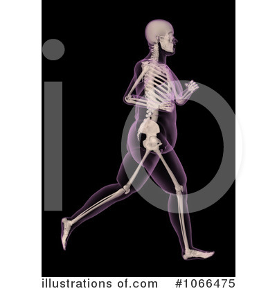 Royalty-Free (RF) Skeleton Clipart Illustration by KJ Pargeter - Stock Sample #1066475