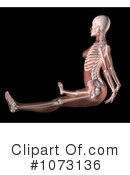 Skeleton Clipart #1073136 by KJ Pargeter