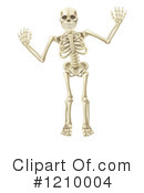 Skeleton Clipart #1210004 by AtStockIllustration