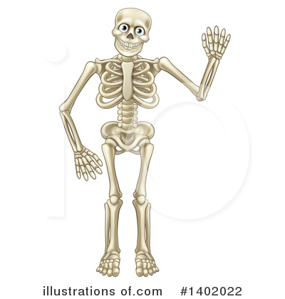 Skeleton Clipart #1402022 by AtStockIllustration