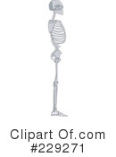 Skeleton Clipart #229271 by patrimonio