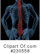 Skeleton Clipart #230558 by KJ Pargeter