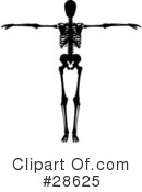 Skeleton Clipart #28625 by KJ Pargeter