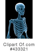 Skeleton Clipart #433321 by Mopic