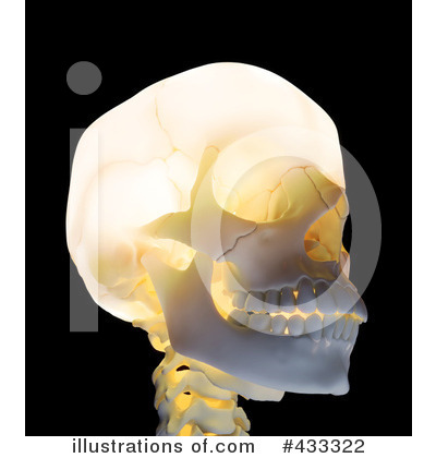 Skull Clipart #433322 by Mopic