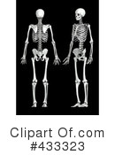 Skeleton Clipart #433323 by Mopic