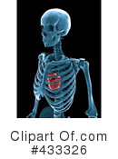 Skeleton Clipart #433326 by Mopic